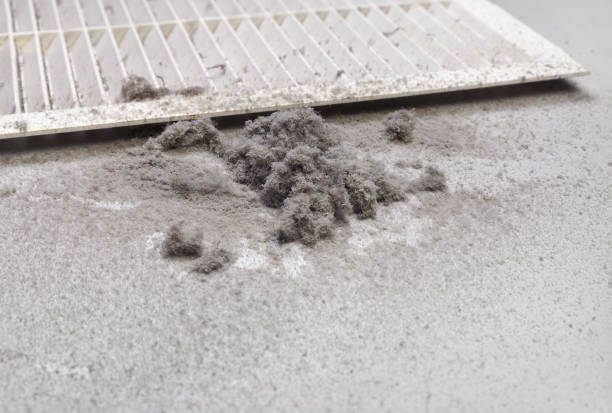 Best Air Duct Cleaning Near Me  in Shullsburg, WI