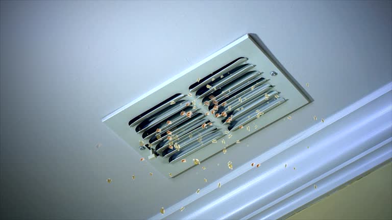 Best Affordable Air Duct Cleaning  in Shullsburg, WI