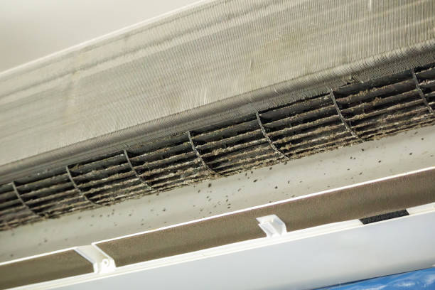 Best Local Air Duct Cleaning Services  in Shullsburg, WI